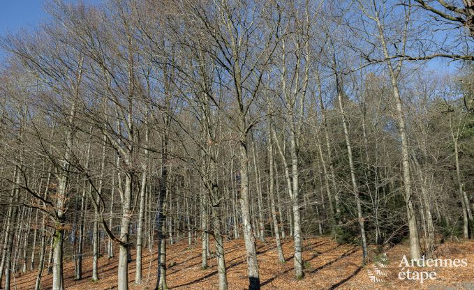 Villa de vacances pour 17 personnes � Vielsalm