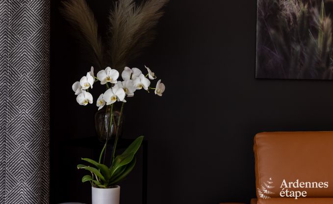 Maison de vacances � Vielsalm pour 14 personnes en Ardenne