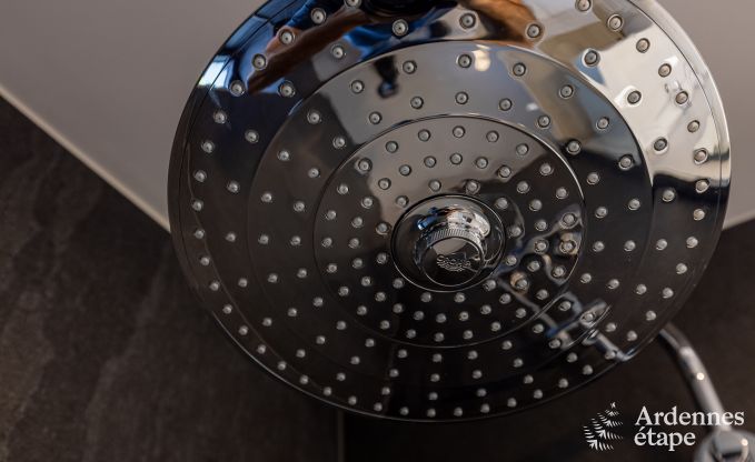 Maison de vacances � Vielsalm pour 14 personnes en Ardenne