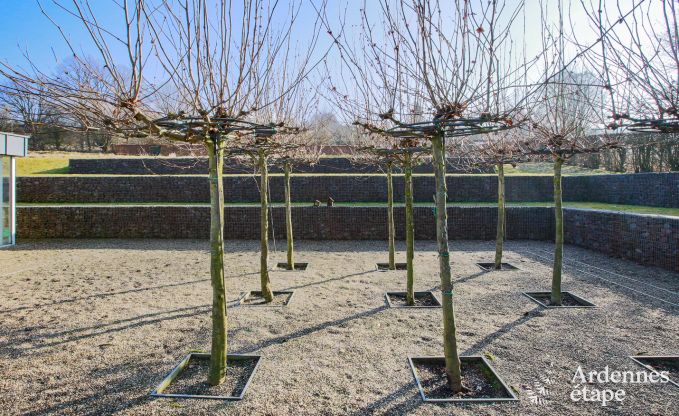 Maison de vacances � Vielsalm pour 13/15 personnes en Ardenne