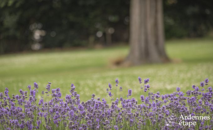Vacances � la ferme � Vielsalm pour 20 personnes en Ardenne