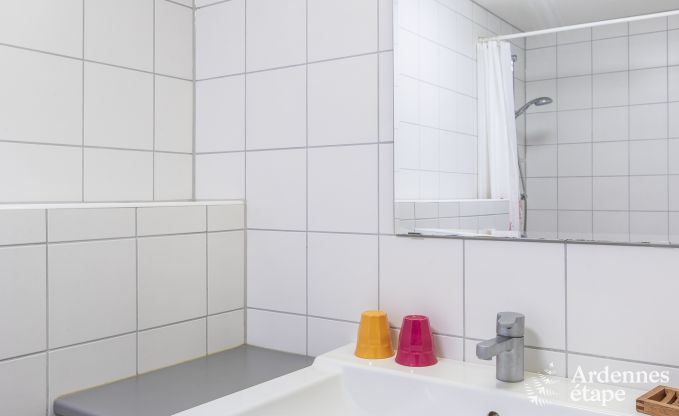 Grande maison de vacances � Vielsalm pour 22 personnes avec 10 chambres, salle de jeux, sauna et grand jardin