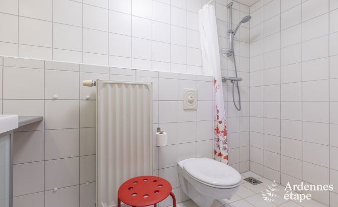 Grande maison de vacances � Vielsalm pour 22 personnes avec 10 chambres, salle de jeux, sauna et grand jardin