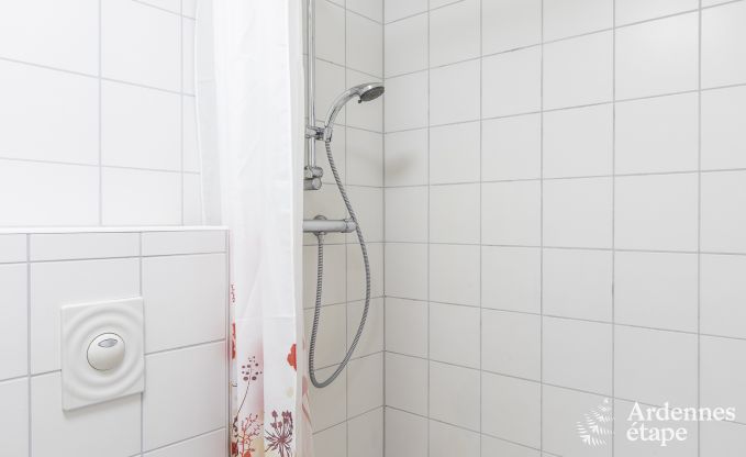 Grande maison de vacances � Vielsalm pour 22 personnes avec 10 chambres, salle de jeux, sauna et grand jardin