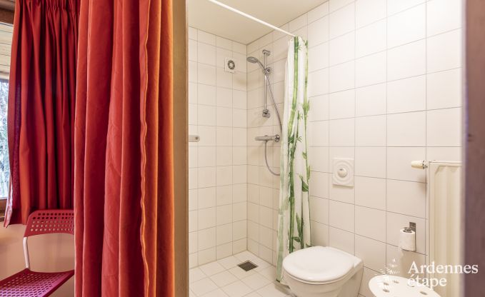 Grande maison de vacances � Vielsalm pour 22 personnes avec 10 chambres, salle de jeux, sauna et grand jardin