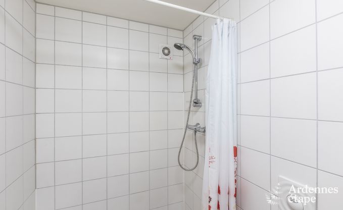 Grande maison de vacances � Vielsalm pour 22 personnes avec 10 chambres, salle de jeux, sauna et grand jardin