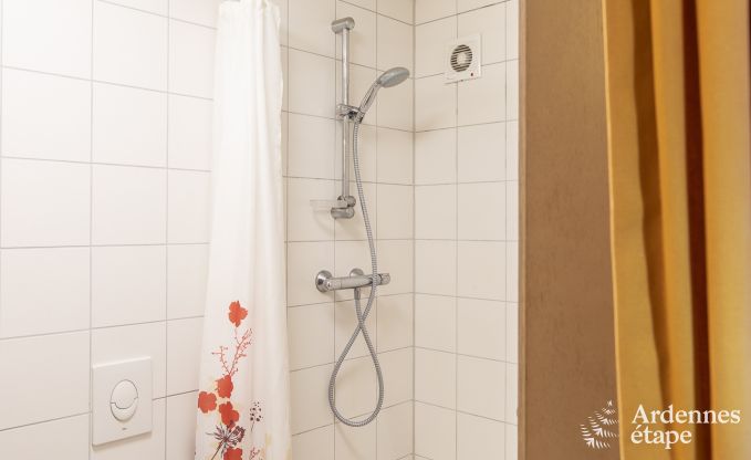 Grande maison de vacances � Vielsalm pour 22 personnes avec 10 chambres, salle de jeux, sauna et grand jardin