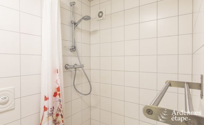 Grande maison de vacances � Vielsalm pour 22 personnes avec 10 chambres, salle de jeux, sauna et grand jardin