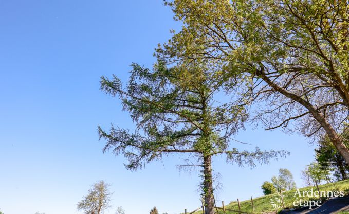 Villa de Luxe avec wellness � Vielsalm pour 12 personnes en Ardenne