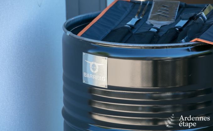 Villa de Luxe avec wellness � Vielsalm pour 12 personnes en Ardenne