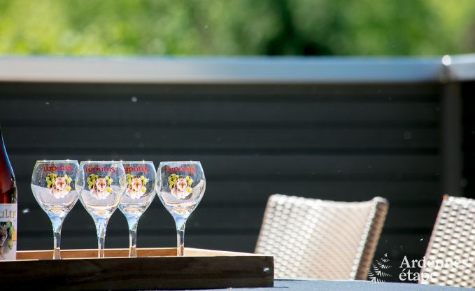 Villa de Luxe avec wellness � Vielsalm pour 12 personnes en Ardenne