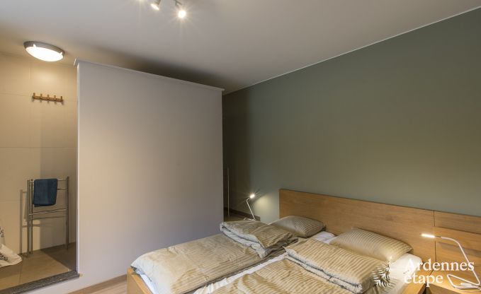 Grande villa de Luxe � Vielsalm pour 26 personnes en Ardenne