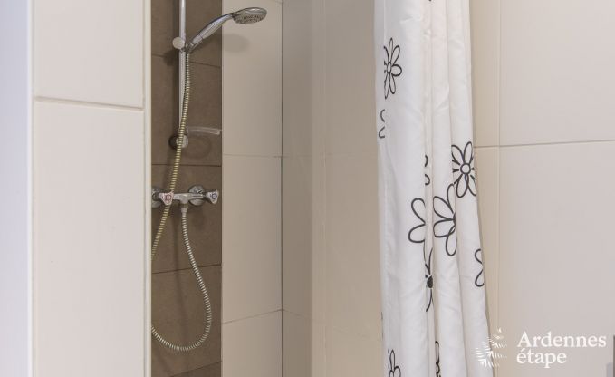 Grande villa de Luxe � Vielsalm pour 26 personnes en Ardenne