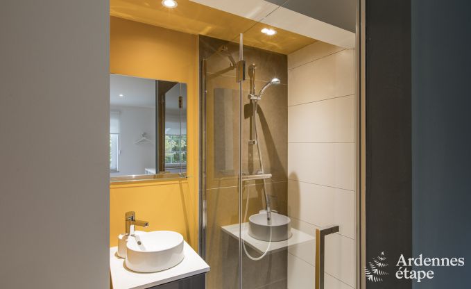 Grande villa de Luxe � Vielsalm pour 26 personnes en Ardenne