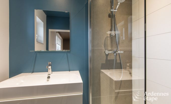 Grande villa de Luxe � Vielsalm pour 26 personnes en Ardenne