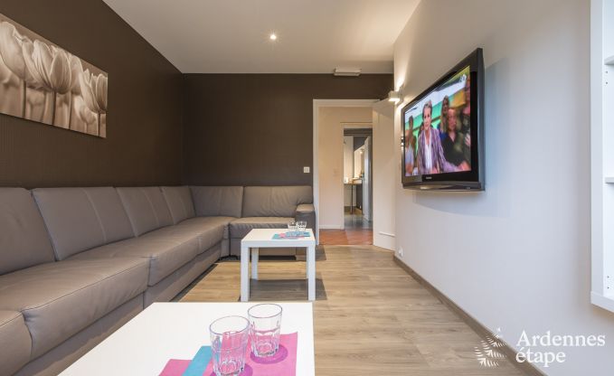 Grande villa de Luxe � Vielsalm pour 26 personnes en Ardenne