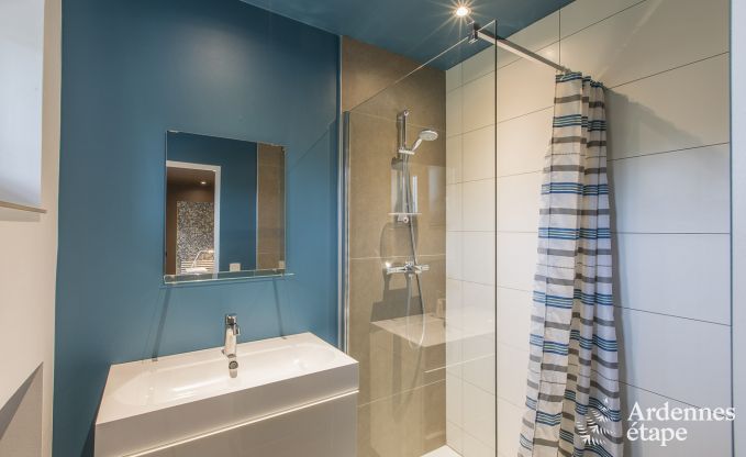 Grande villa de Luxe � Vielsalm pour 26 personnes en Ardenne