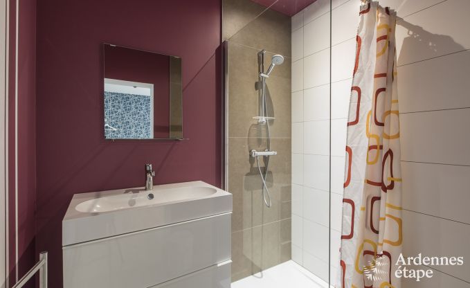 Grande villa de Luxe � Vielsalm pour 26 personnes en Ardenne