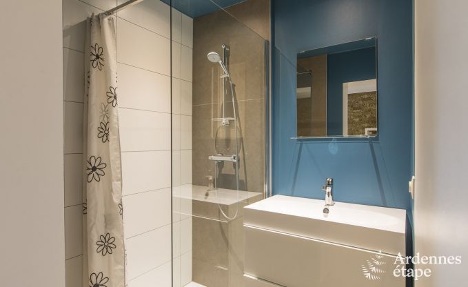 Grande villa de Luxe � Vielsalm pour 26 personnes en Ardenne