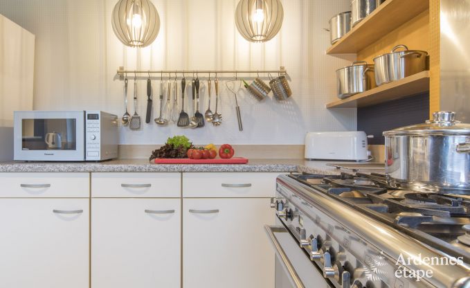 Grande villa de Luxe � Vielsalm pour 26 personnes en Ardenne