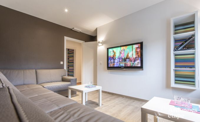 Grande villa de Luxe � Vielsalm pour 26 personnes en Ardenne