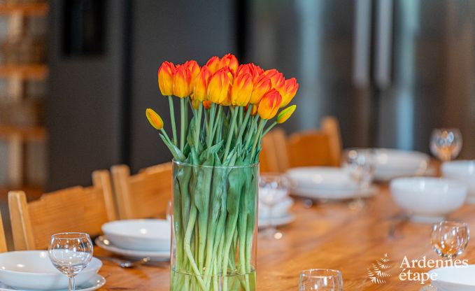 Villa tout confort � Vielsalm pour 26 personnes en Ardenne