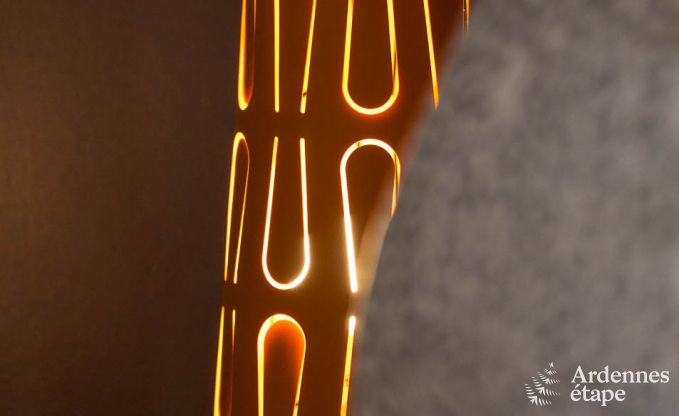 Villa de Luxe � Vielsalm pour 21 personnes en Ardenne