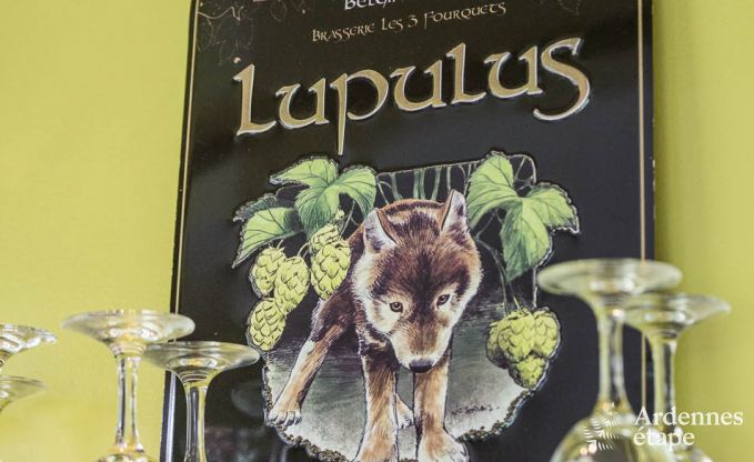 Villa de Luxe � Vielsalm pour 21 personnes en Ardenne