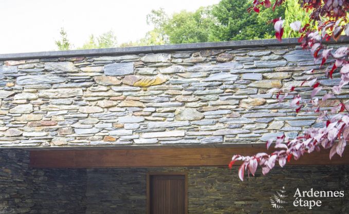 Villa de Luxe � Vielsalm pour 21 personnes en Ardenne