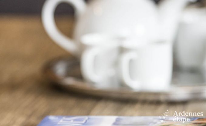 Villa de Luxe � Vielsalm pour 21 personnes en Ardenne