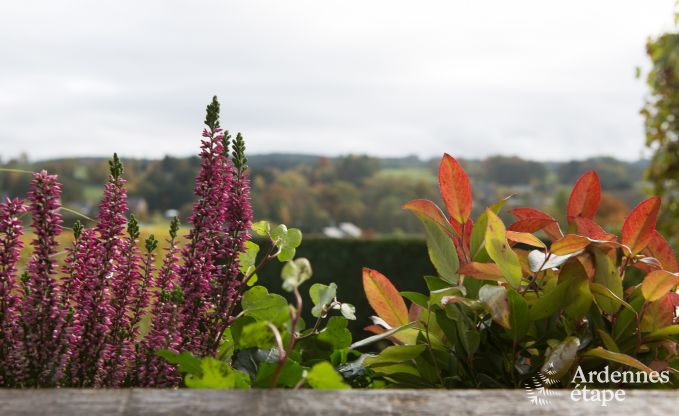 Maison de vacances  Vielsalm pour 4 personnes en Ardenne