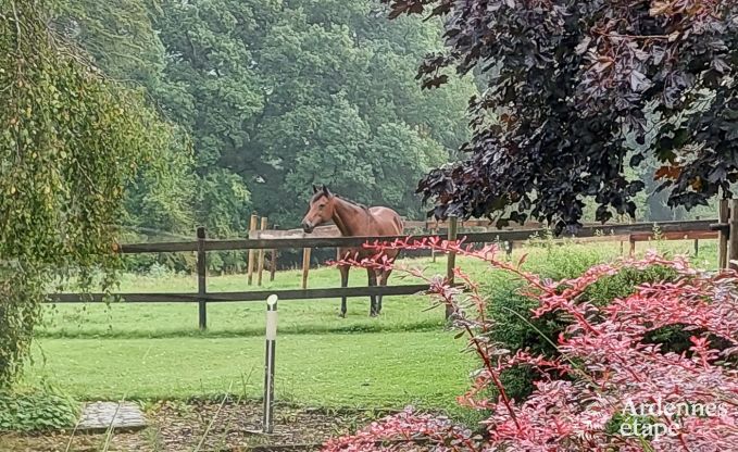 Maison de vacances  Vielsalm pour 4/5 personnes en Ardenne