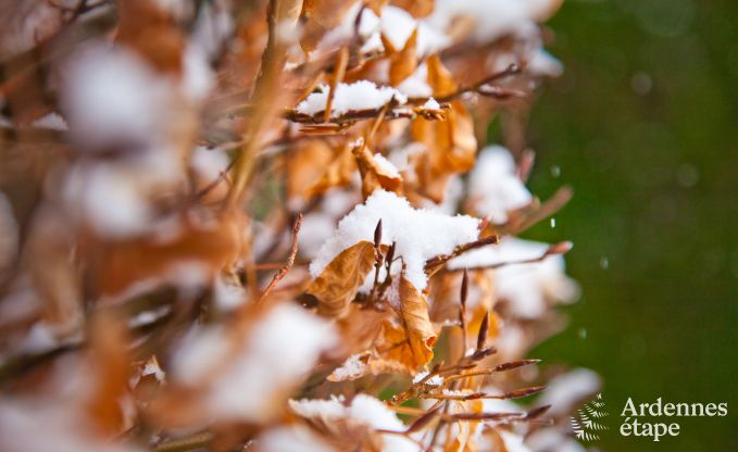 Maison de vacances  Vielsalm pour 4/5 personnes en Ardenne