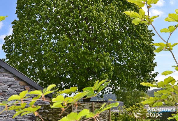 Maison de vacances  Vielsalm pour 2 personnes en Ardenne