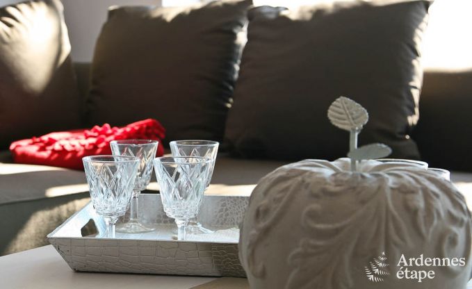 Maison de vacances  Vielsalm pour 2 personnes en Ardenne