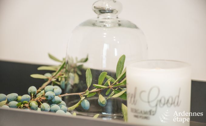 Maison de vacances  Vielsalm pour 9 personnes en Ardenne