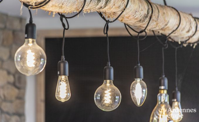 Maison de vacances  Vielsalm pour 14 personnes en Ardenne