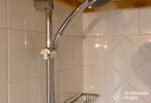 Maison de vacances � Vielsalm pour 28 personnes en Ardenne