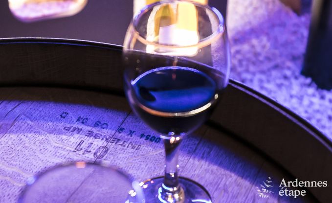 Maison de vacances � Vielsalm pour 30 personnes en Ardenne