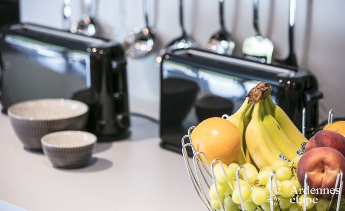 Maison de vacances � Vielsalm pour 30 personnes en Ardenne