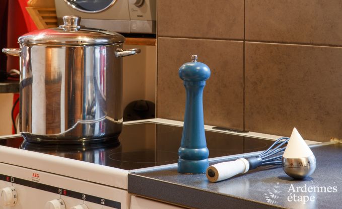 Maison de vacances  Vielsalm pour 10 personnes en Ardenne