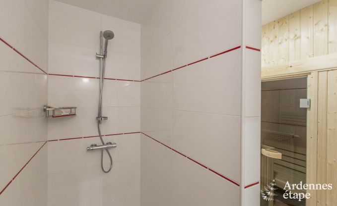 Maison de vacances  Vielsalm pour 12 personnes en Ardenne