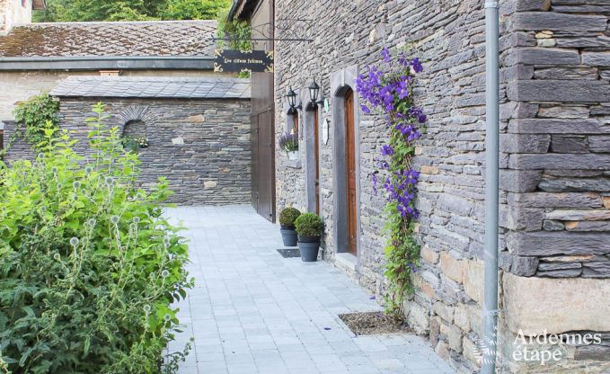 Maison de vacances  Vielsalm pour 12 personnes en Ardenne