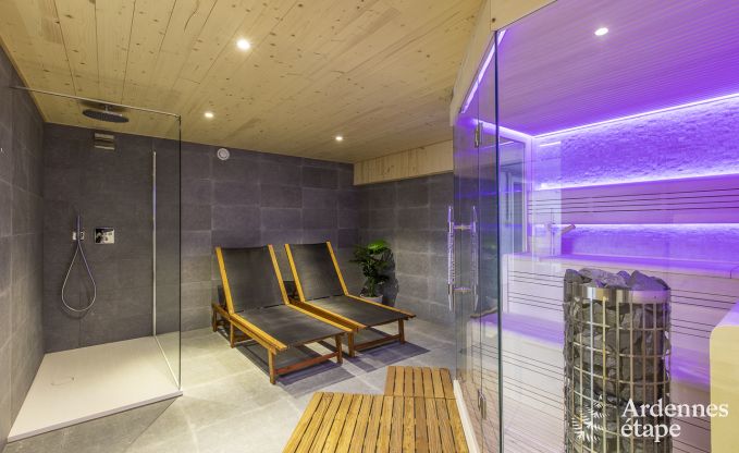 Maison de vacances  Vielsalm pour 12 personnes en Ardenne