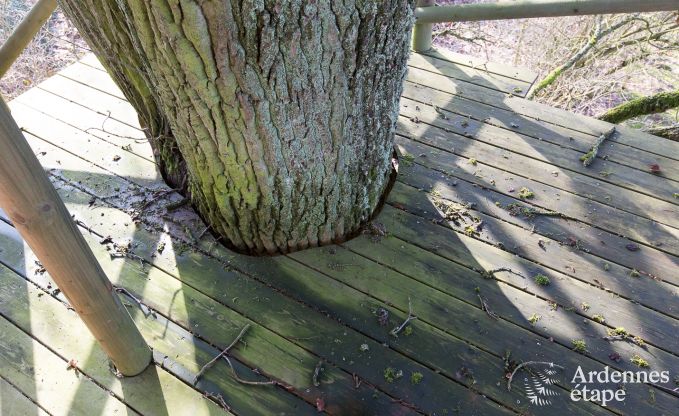 Maison de vacances  Vielsalm pour 9 personnes en Ardenne