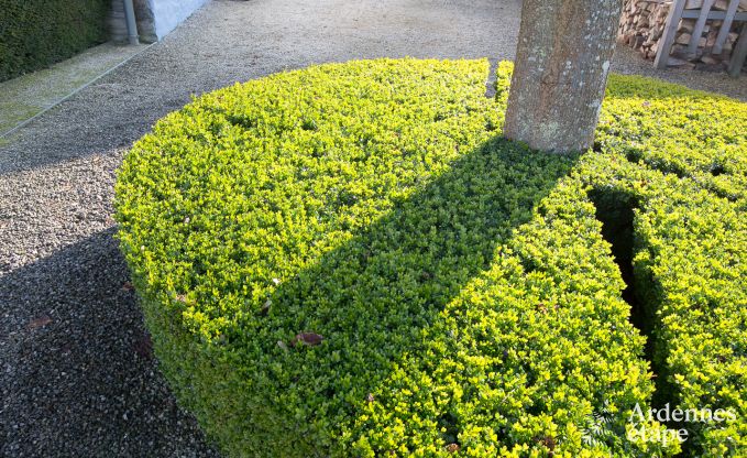 Maison de vacances  Vielsalm pour 13/15 personnes en Ardenne