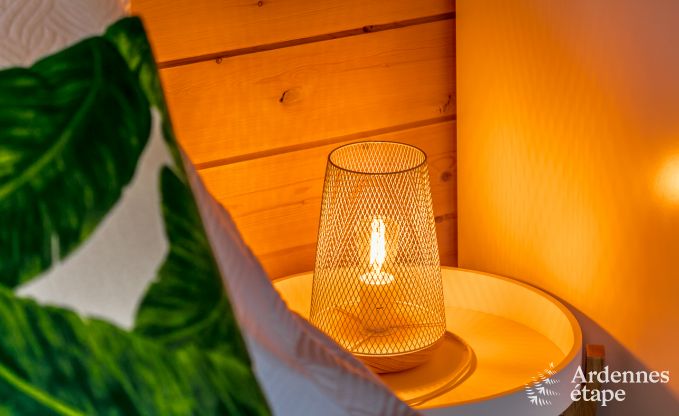 Villa de Luxe � Vielsalm pour 7/8 personnes en Ardenne