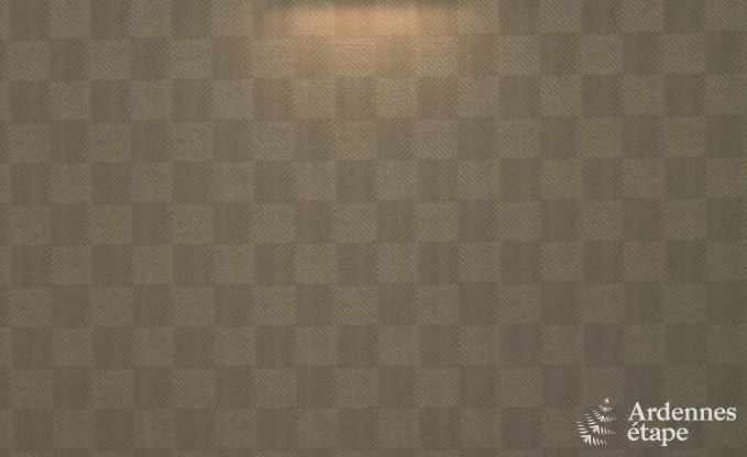 Villa de Luxe � Vielsalm pour 21 personnes en Ardenne