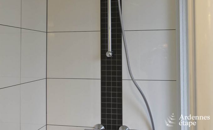 Villa de Luxe � Vielsalm pour 21 personnes en Ardenne