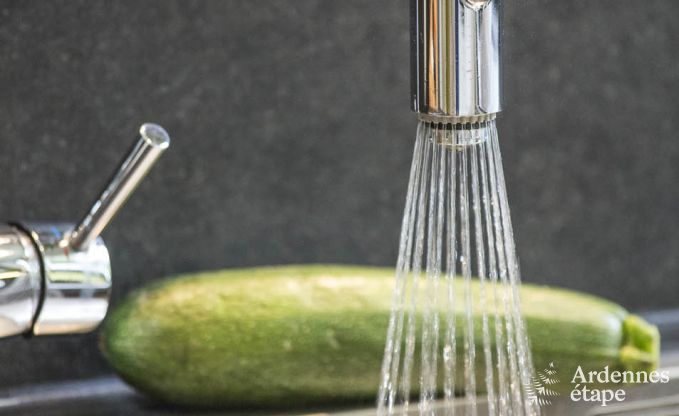 Villa de Luxe � Vielsalm pour 21 personnes en Ardenne